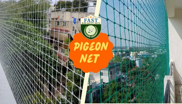 pigeon net