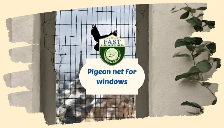 Pigeon Net for Windows