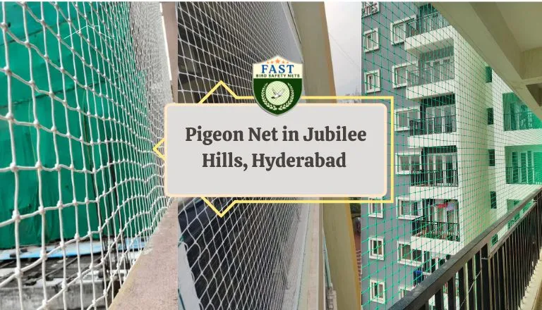 pigeon net in hyderabad