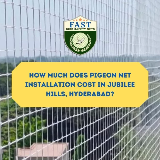 How Much Does Pigeon Net Installation Cost in Jubilee Hills, Hyderabad?