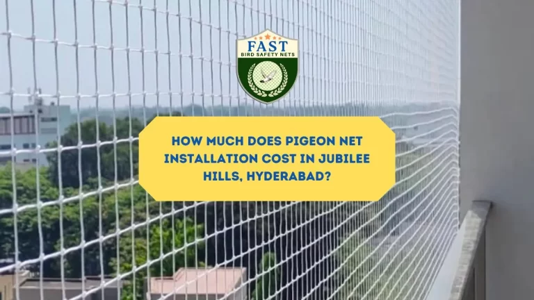 How Much Does Pigeon Net Installation Cost in Jubilee Hills, Hyderabad?