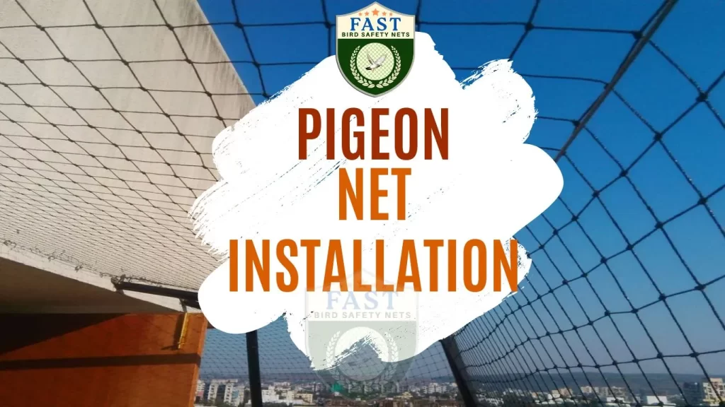 Pigeon Net Installation in Hyderabad