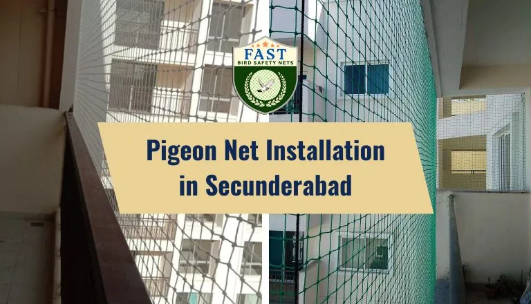 Pigeon Net Installation in Secunderabad