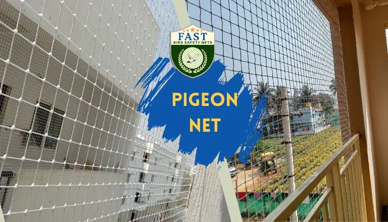 Pigeon Nets