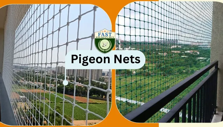 Pigeon Nets