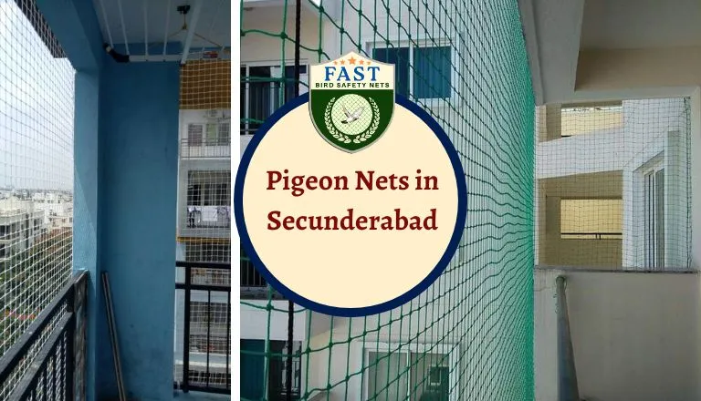 Pigeon Nets in Hyderabad