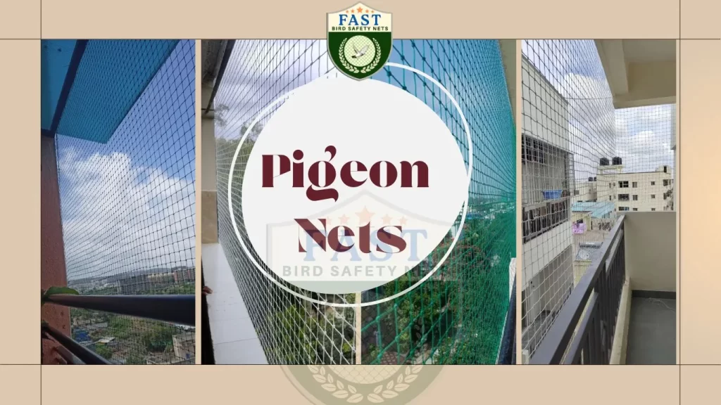 Pigeon Net Installation