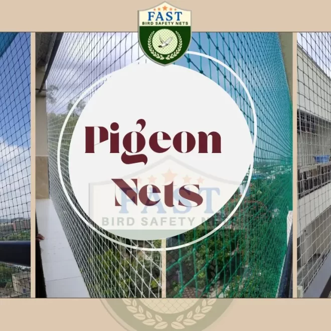 The Importance of Using Nets to Prevent Pigeons in Hyderabad