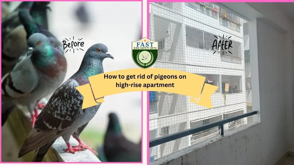 pigeon netting for apartments