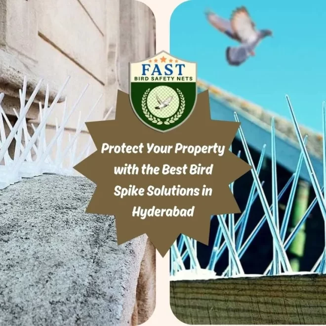 Protect Your Property with the Best Bird Spike Solutions in Hyderabad