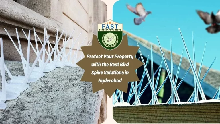 Protect Your Property with the Best Bird Spike Solutions in Hyderabad