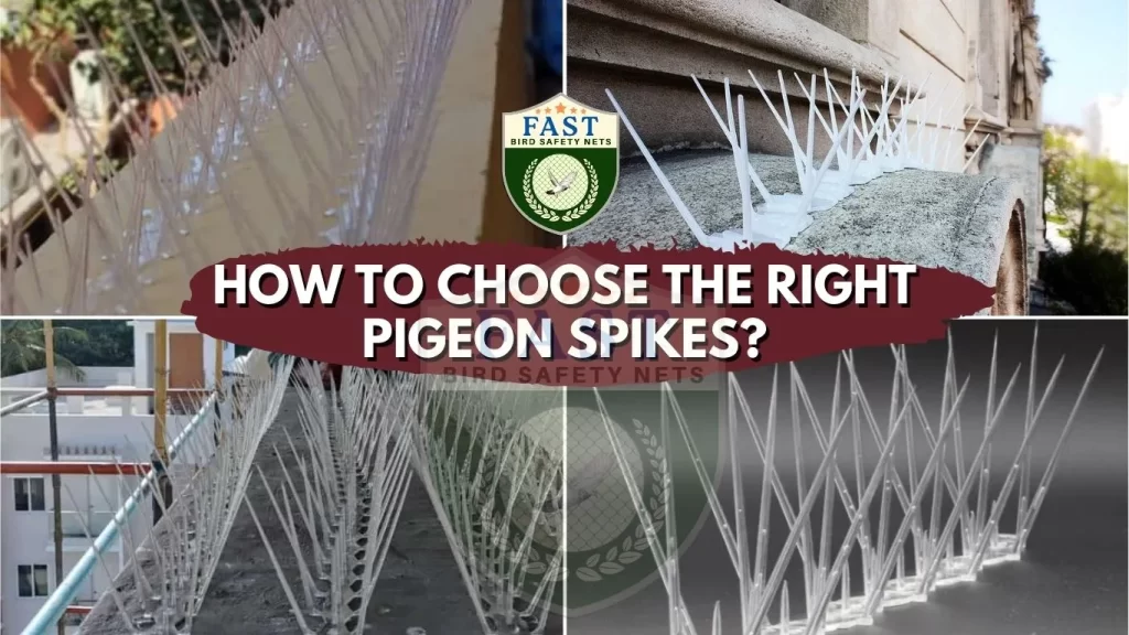 pigeon spikes in hyderabad