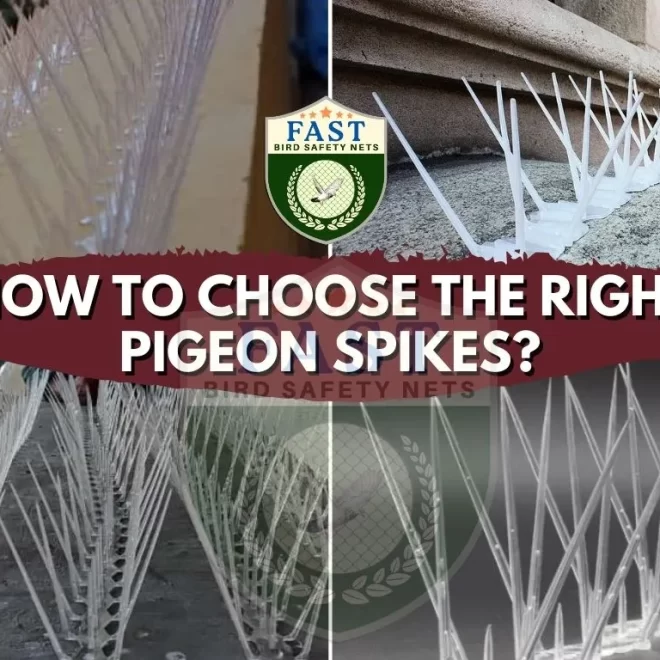 The Ultimate Guide to Pigeon Spikes: How to Choose the Right Option for Your Property