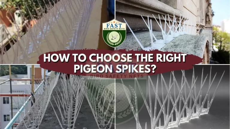 The Ultimate Guide to Pigeon Spikes: How to Choose the Right Option for Your Property