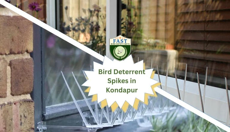 Bird Deterrent Spikes