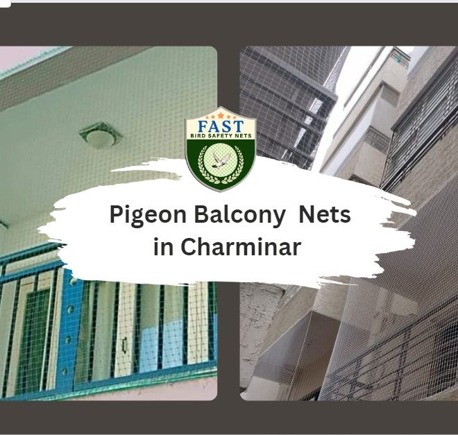 Dealing with Common Pigeon Problems on Balcony in Charminar