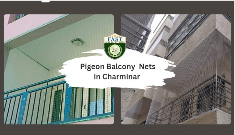 Dealing with Common Pigeon Problems on Balcony in Charminar