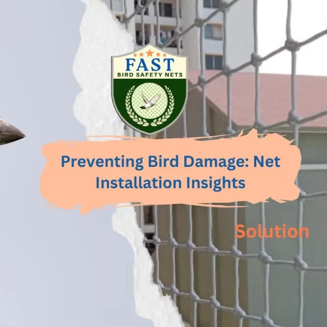 Preventing Bird Damage: Net Installation Insights