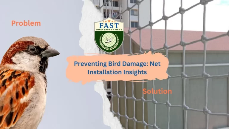 Preventing Bird Damage: Net Installation Insights