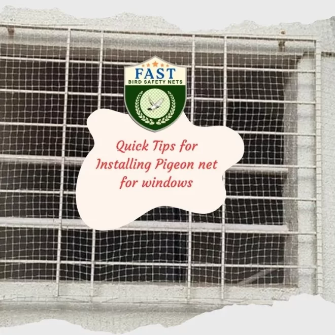 Quick Tips for Installing Pigeon nets for windows