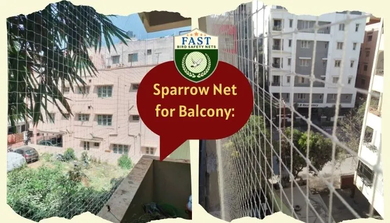 Sparrow Net