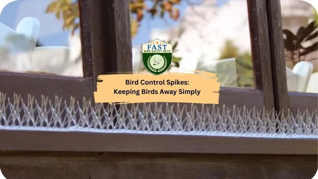 bird control spikes