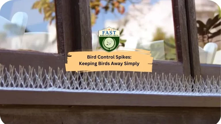 Bird Control Spikes: Keeping Birds Away Simply