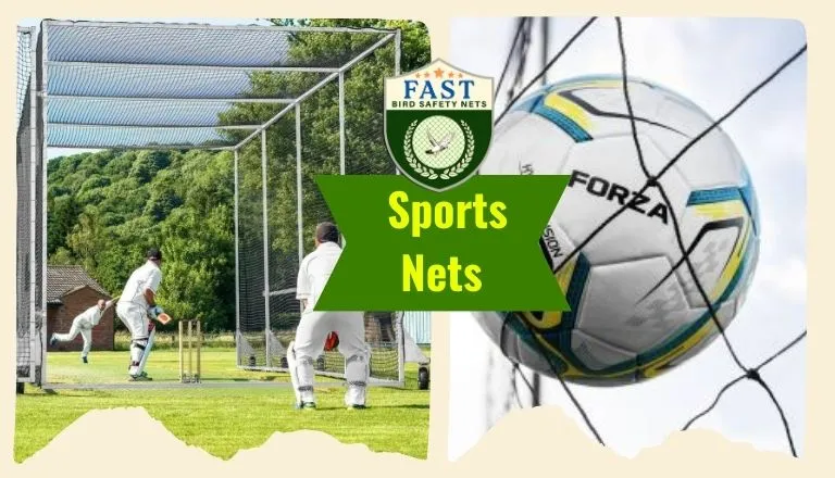 sports net