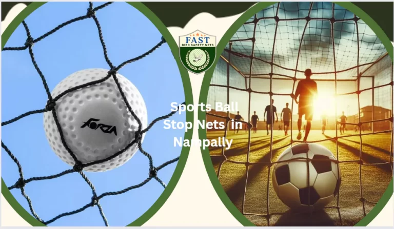 Safeguarding Success: How Sports Ball Stop Nets Enhance Player’s Efficiency and Safety in Nampally