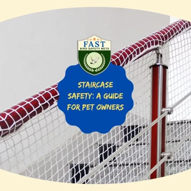 Staircase Safety: A Guide for Pet Owners