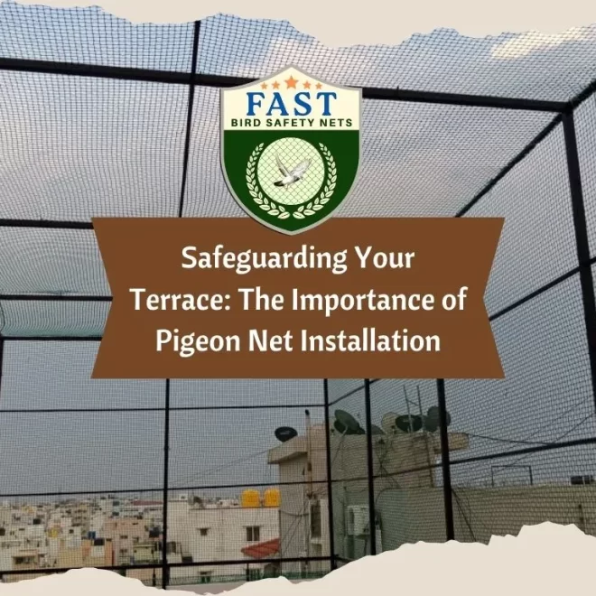Safeguarding Your Terrace: The Importance of Pigeon Net Installation