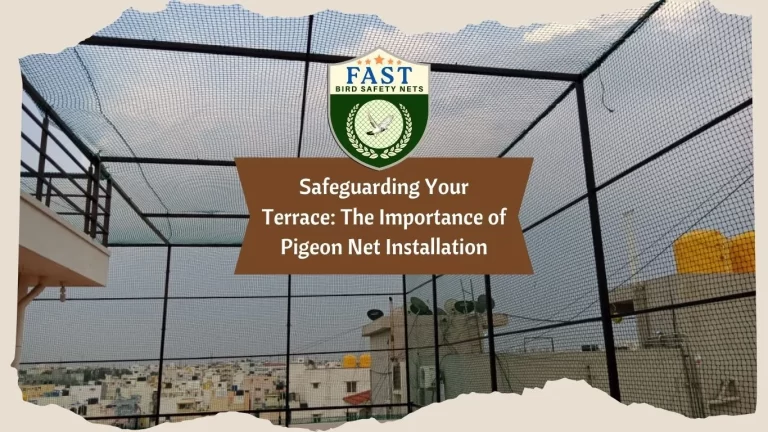 Safeguarding Your Terrace: The Importance of Pigeon Net Installation