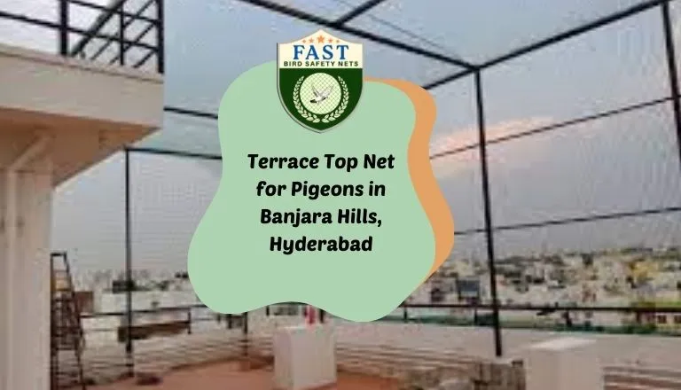 terrace top nets