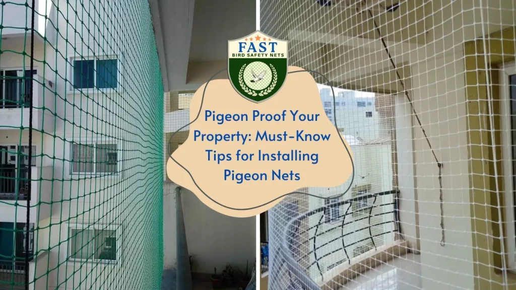 Tips for Installing Pigeon Nets