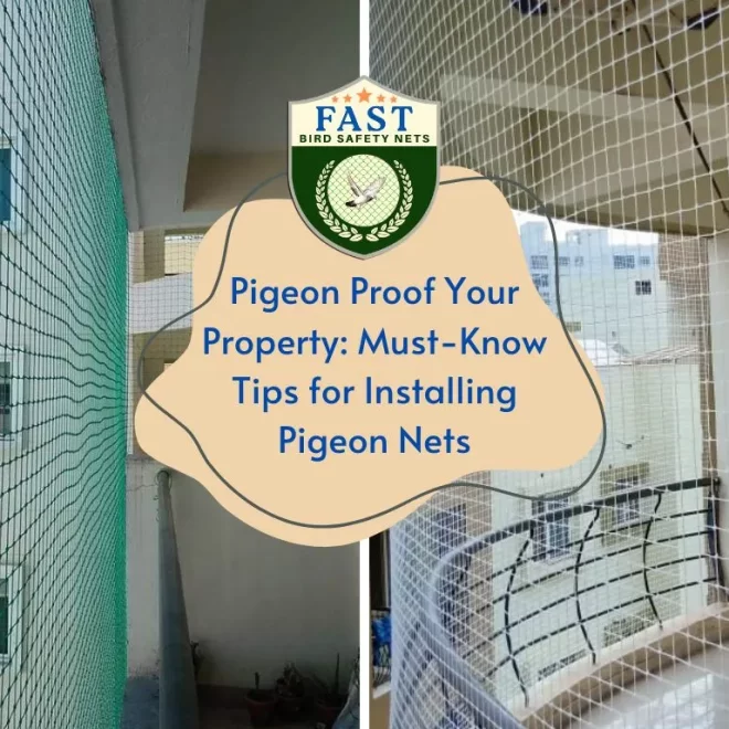 Pigeon Proof Your Property: Must-Know Tips for Installing Pigeon Nets