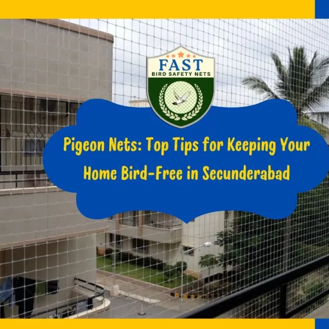 Bird Nets: Essential Tips for Avian Control in Cyberabad