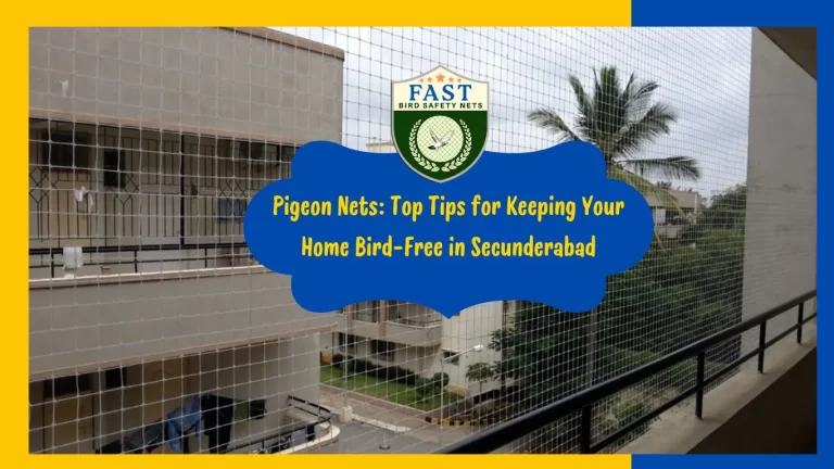 Pigeon Nets: Top Tips for Keeping Your Home Bird-Free in Secunderabad