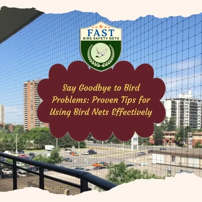 Say Goodbye to Bird Problems: Proven Tips for Using Bird Nets Effectively
