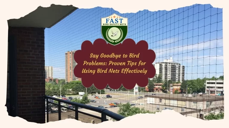 Say Goodbye to Bird Problems: Proven Tips for Using Bird Nets Effectively