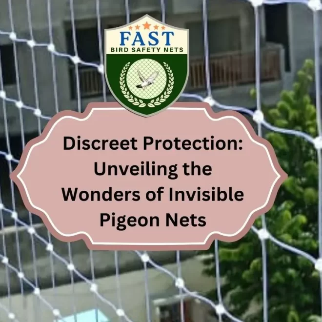Discreet Protection: Unveiling the Wonders of Invisible Pigeon Nets