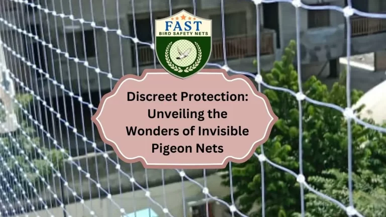 Discreet Protection: Unveiling the Wonders of Invisible Pigeon Nets