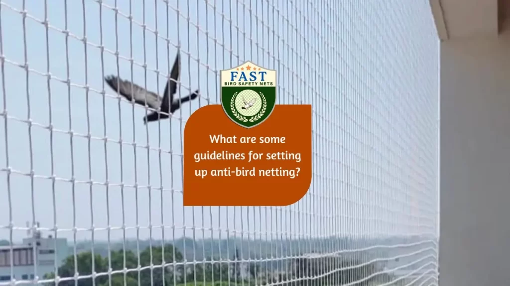 What are some guidelines for setting up anti bird netting