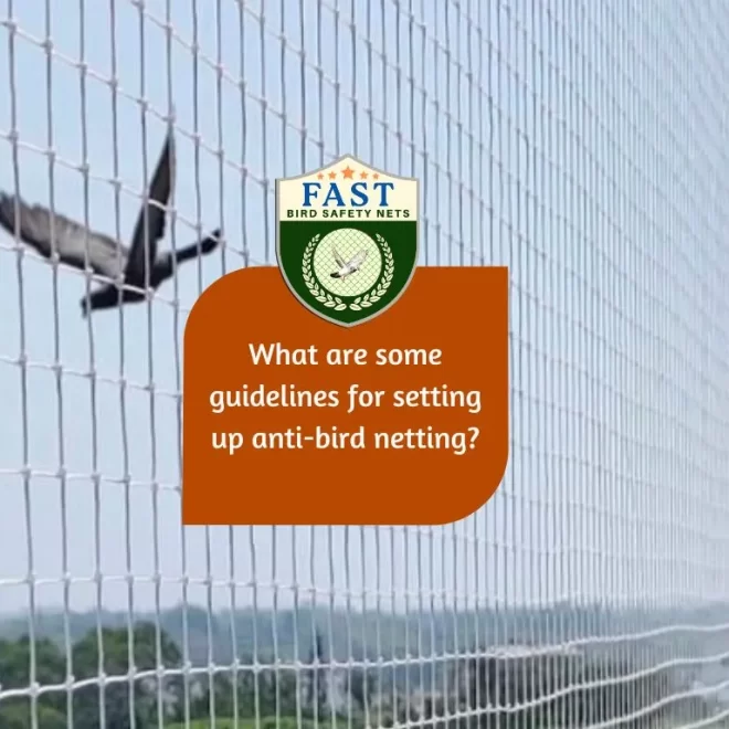 What are some guidelines for setting up anti-bird netting?