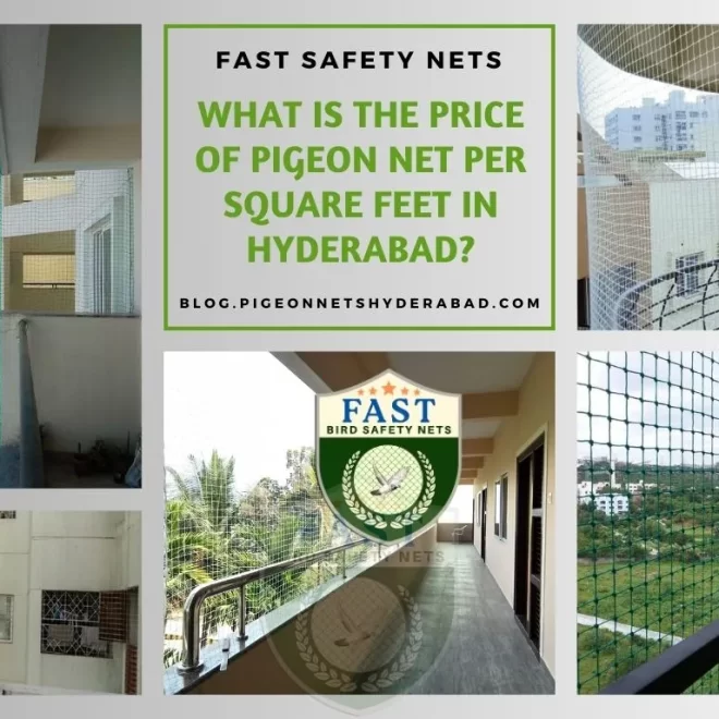What is the price of pigeon net per square feet in Hyderabad?