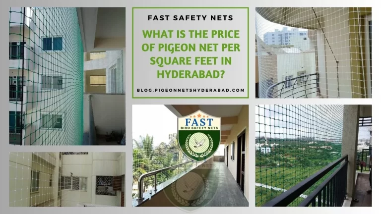 What is the price of pigeon net per square feet in Hyderabad?