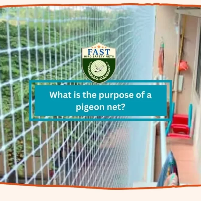 What is the purpose of a pigeon net?
