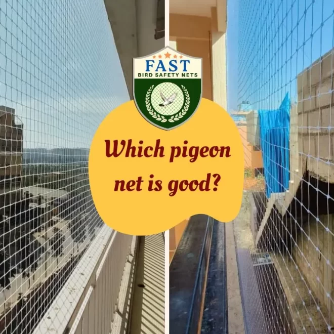 Which pigeon net is good?