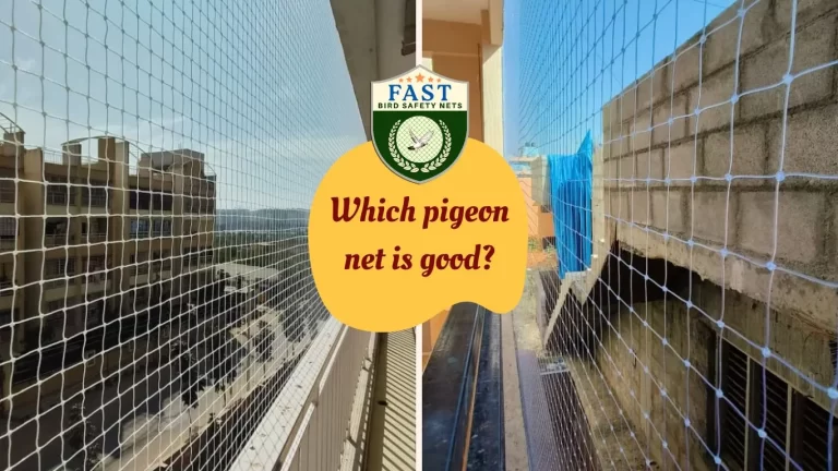 Which pigeon net is good?