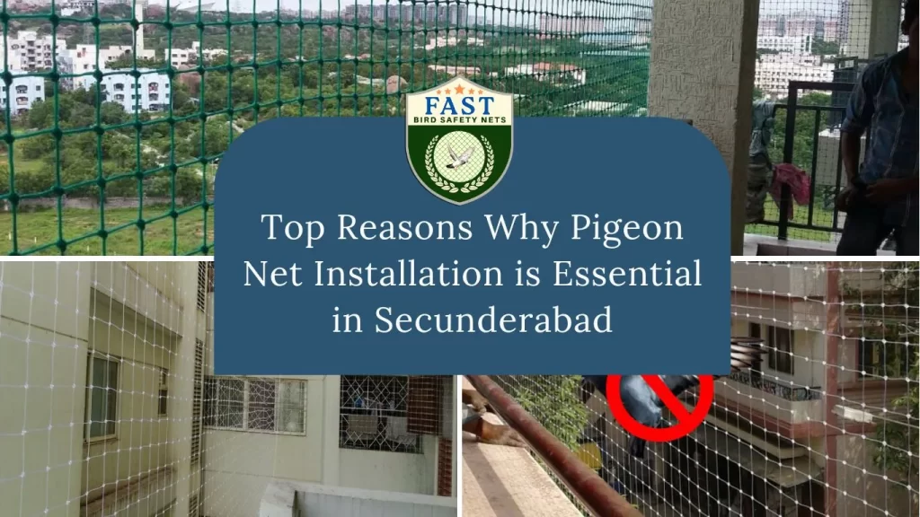 Top Reasons Why Pigeon Net Installation is Essential in Secunderabad