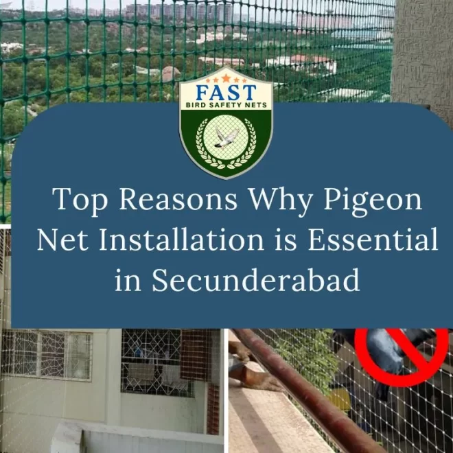 Top Reasons Why Pigeon Net Installation is Essential in Secunderabad